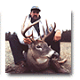 Deer 2001